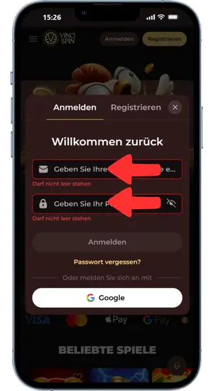 VinciSpin Daten eingeben